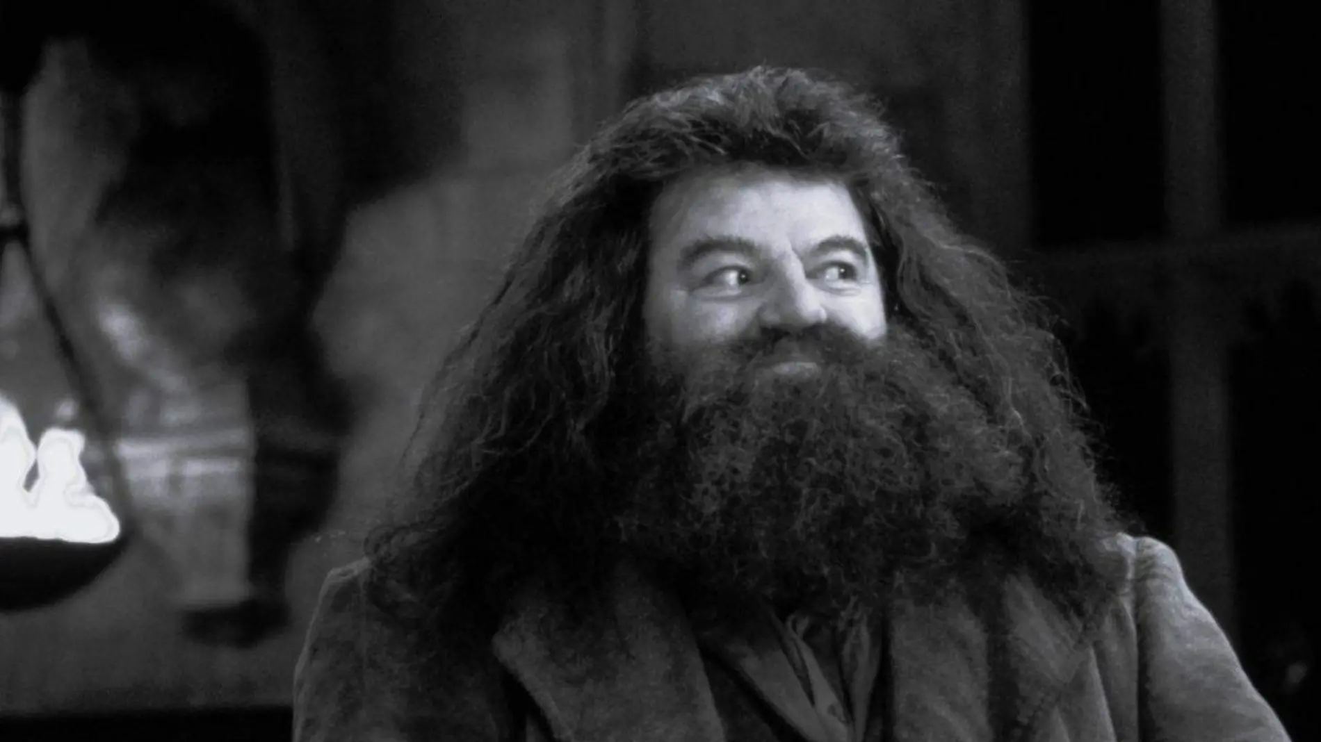 Hagrid Harry Potter  2